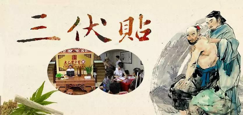 2、什么是三伏貼？三伏貼的作用？